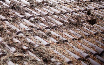 Shaw roof cleaning companies