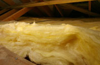 Shaw pitch roof insulation